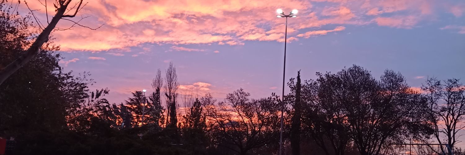 almi_martinez's profile banner image