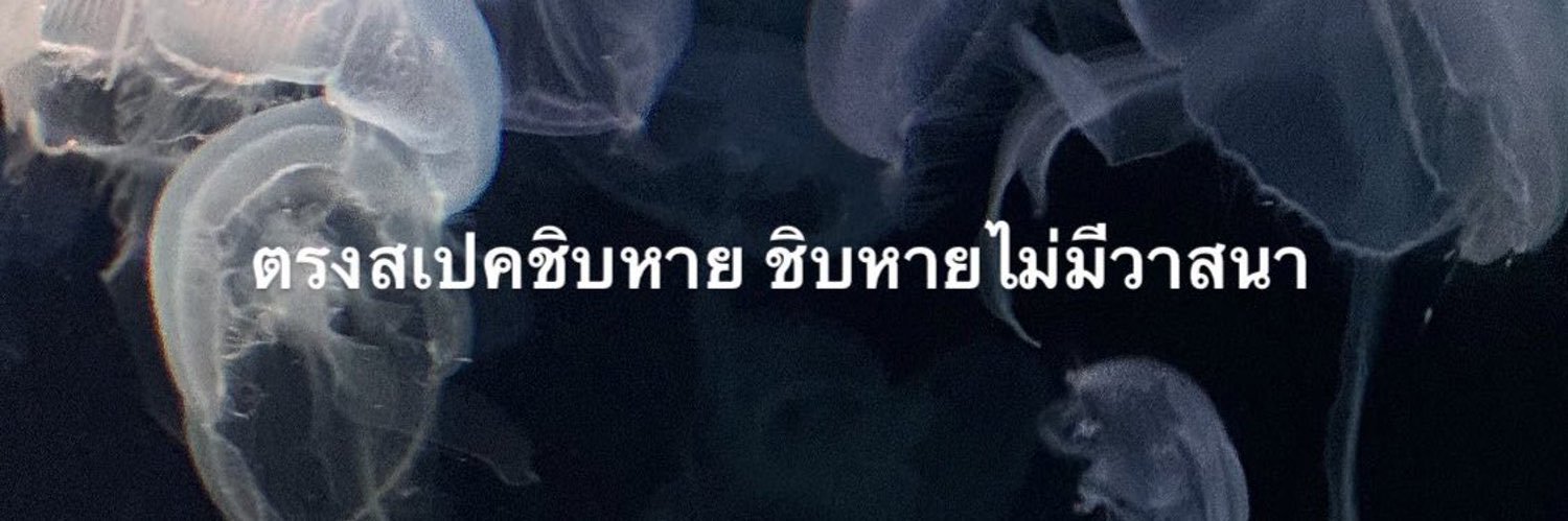 amyourppunch banner