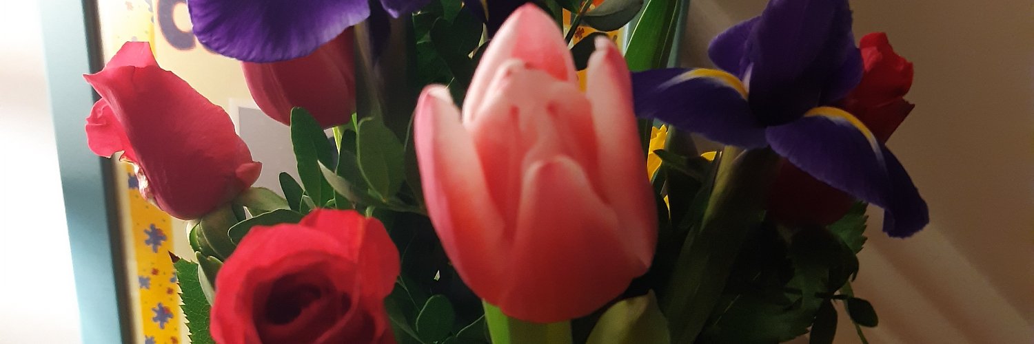 Eimear Devaney banner