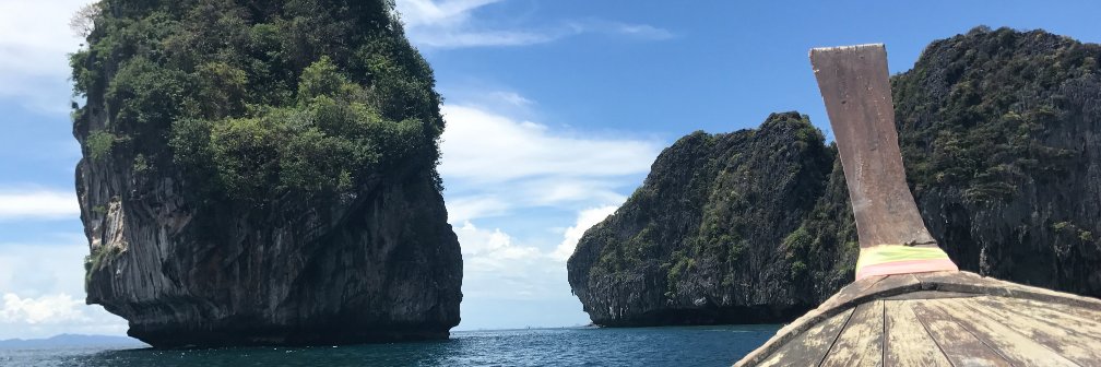 Rosa Castillo banner