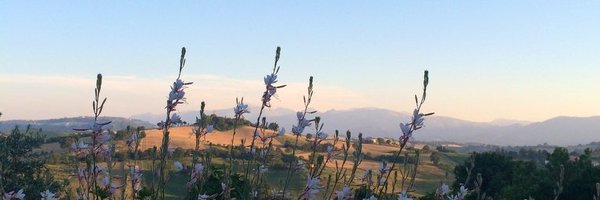 sakuidealist Profile Banner