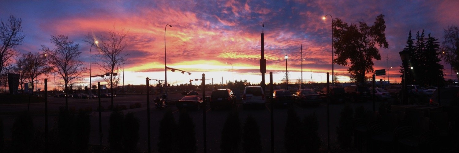 brooklynorritt's profile banner image