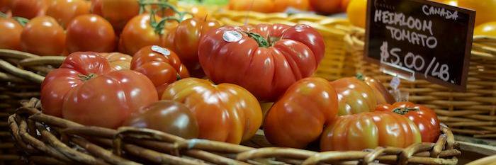 Food Hunter banner