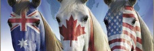 canadashorses's profile banner image