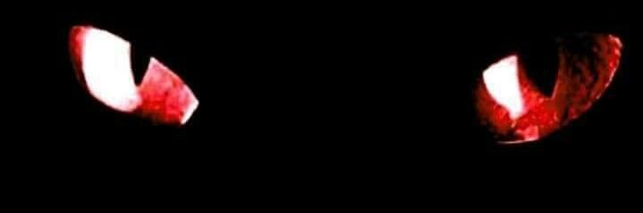 Twitter banner for @ErrCan