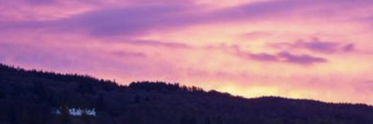the_expert0's profile banner image