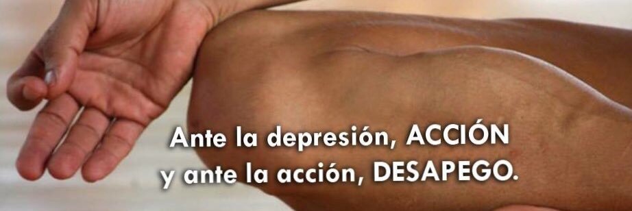Berenyce Dl Rosario banner