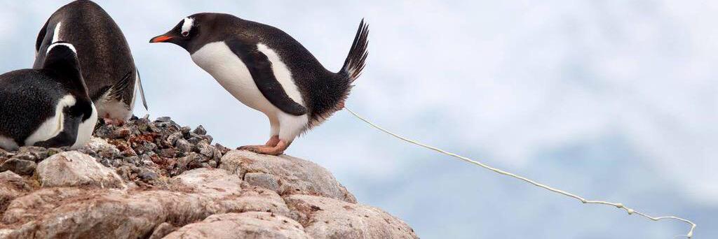 kyle. // @facityy.uk on blusky banner