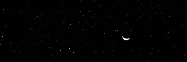 6629Sara's profile banner image