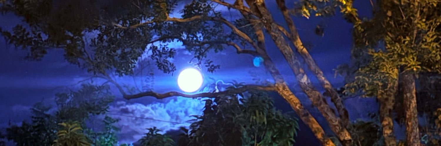 Bridge 🦋 banner