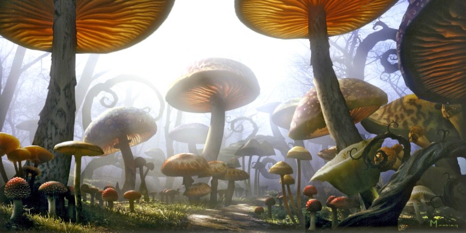 pepper_duke's profile banner image