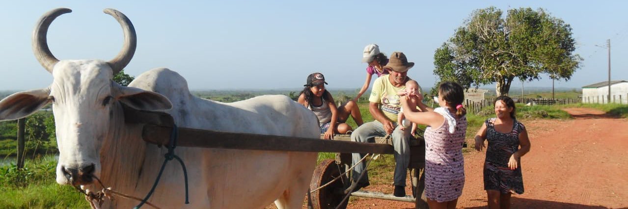 dra. baião de dois banner