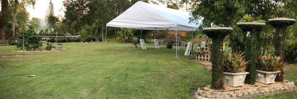 Emblem Bonsai banner