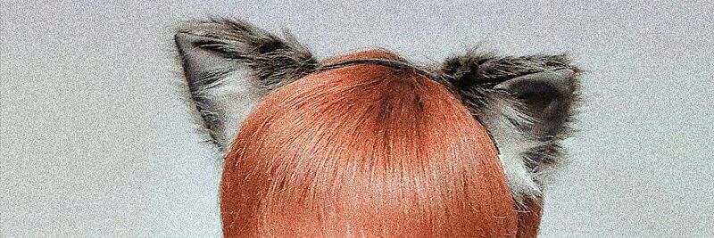 #the_connect [ 🦊 ] . . . #dejavu banner