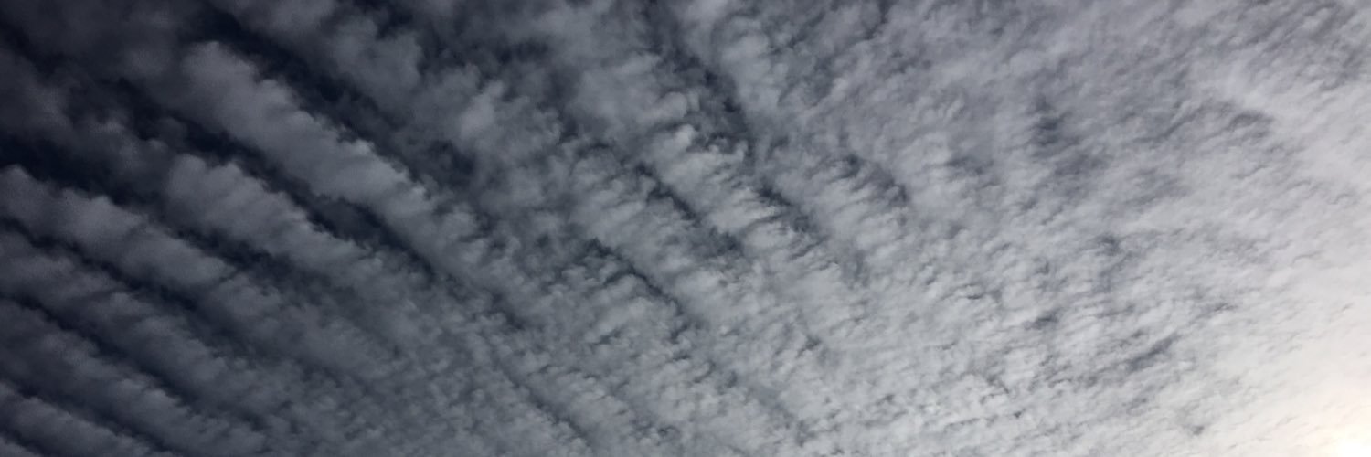 NicoleMW1969's profile banner image