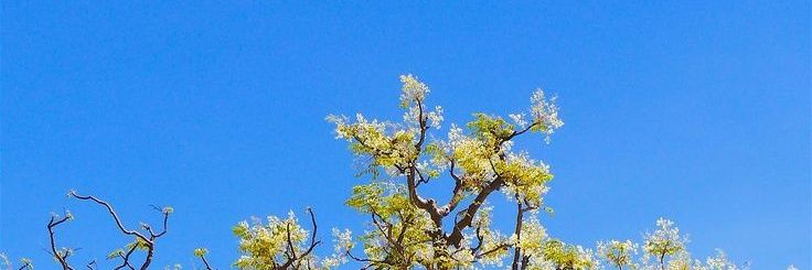 __𝒎𝒐𝒓𝒊&𝑼💙✨ banner