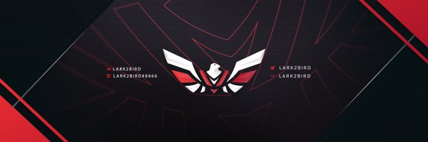 Lark2Bird Profile Banner