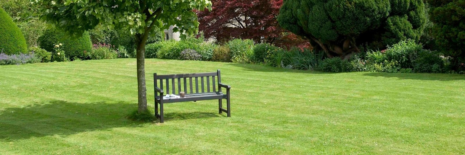 Buddha's Nature Maintenance banner