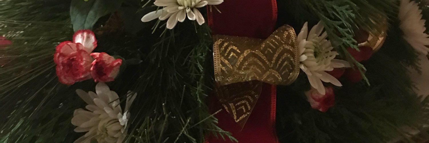 arirobb1's profile banner image