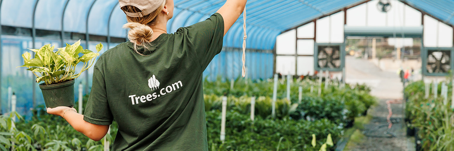 trees_dot_com's profile banner image