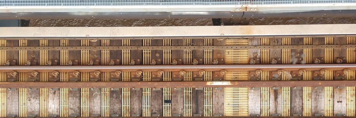 ʎǝɔɐ˥ dıןıɥԀ banner