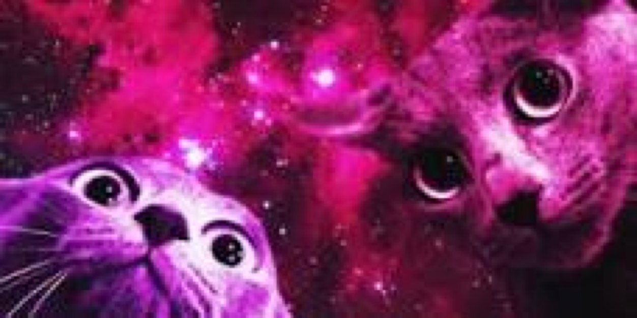 MoistureFalcon's profile banner image