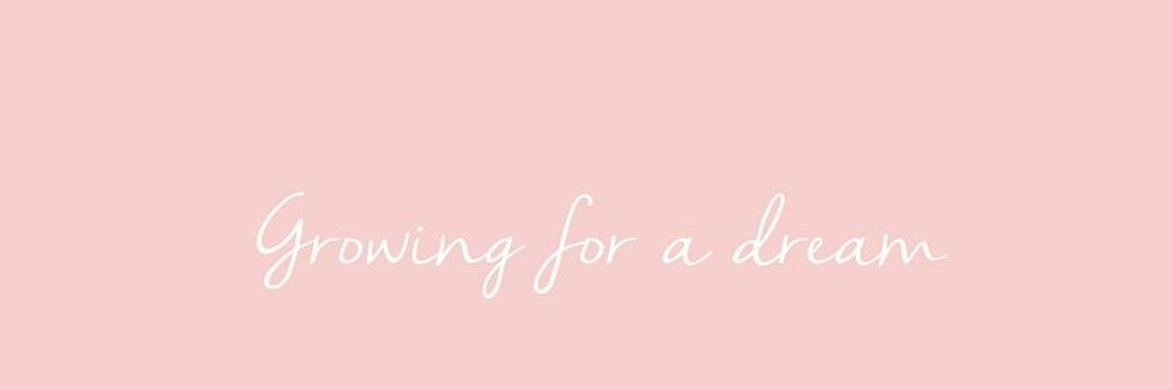 _Tag4O3's profile banner image