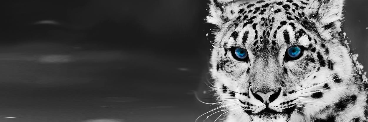 Tarun6989's profile banner image