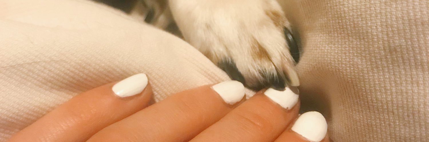 BaileyBial's profile banner image