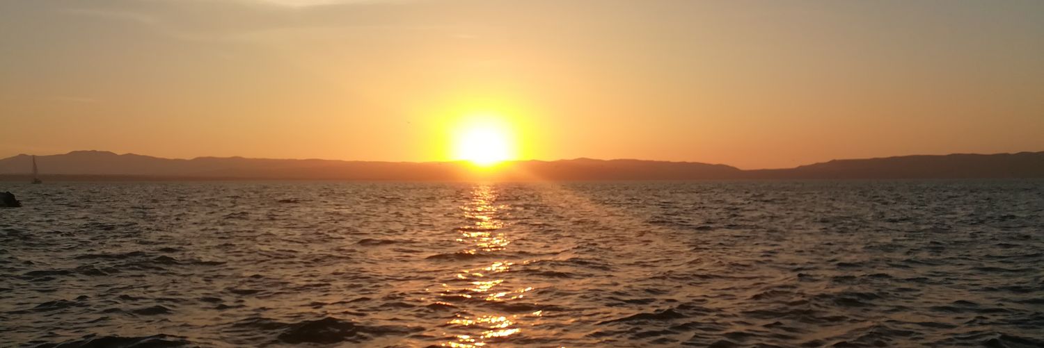 despejoma's profile banner image