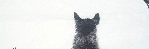 catman929's profile banner image