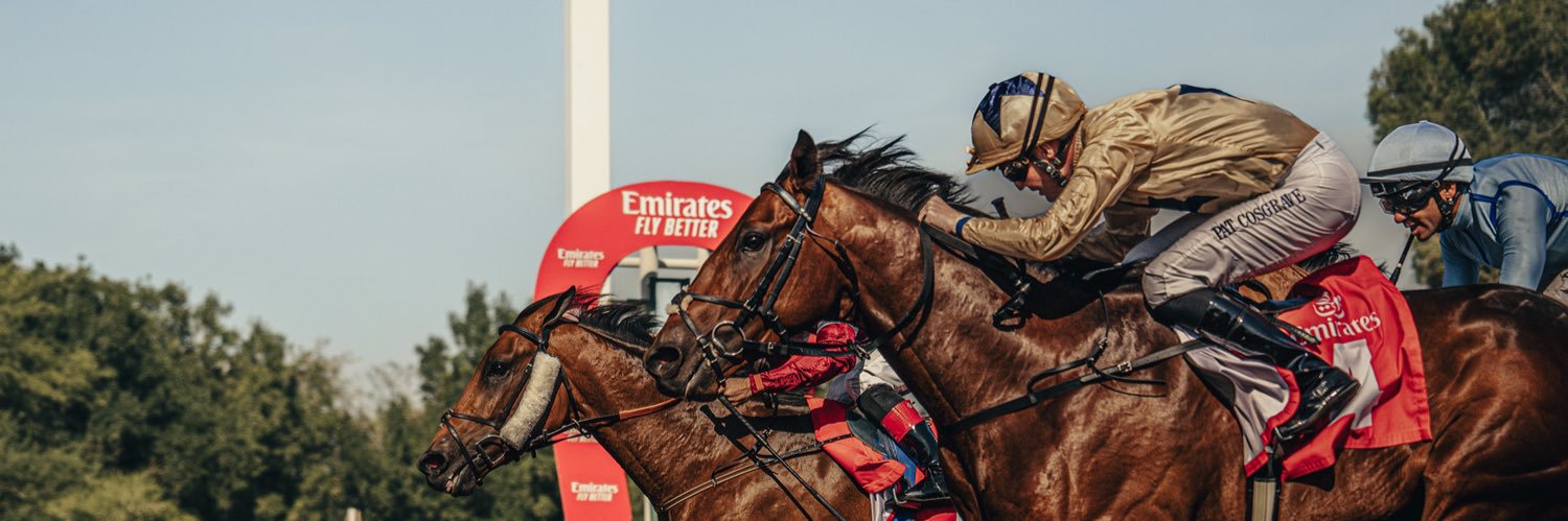 Jebel Ali Racecourse banner