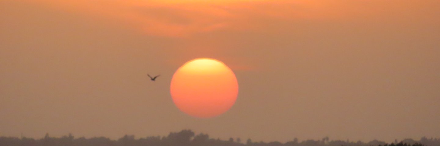lyndagg924's profile banner image