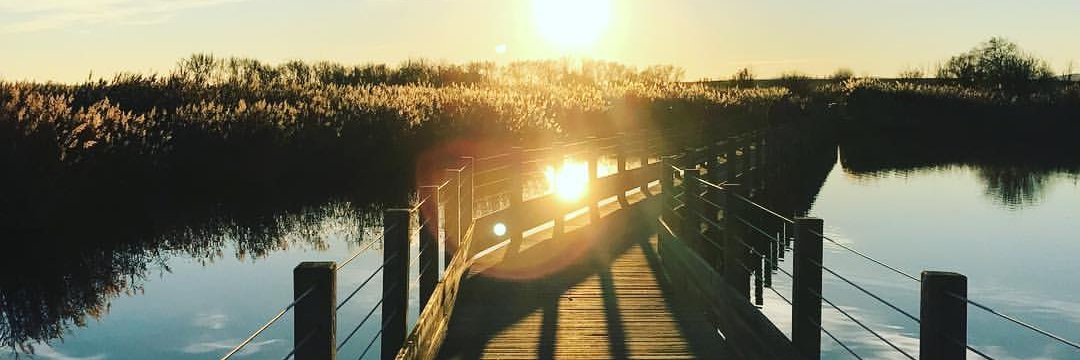 adcayrac's profile banner image