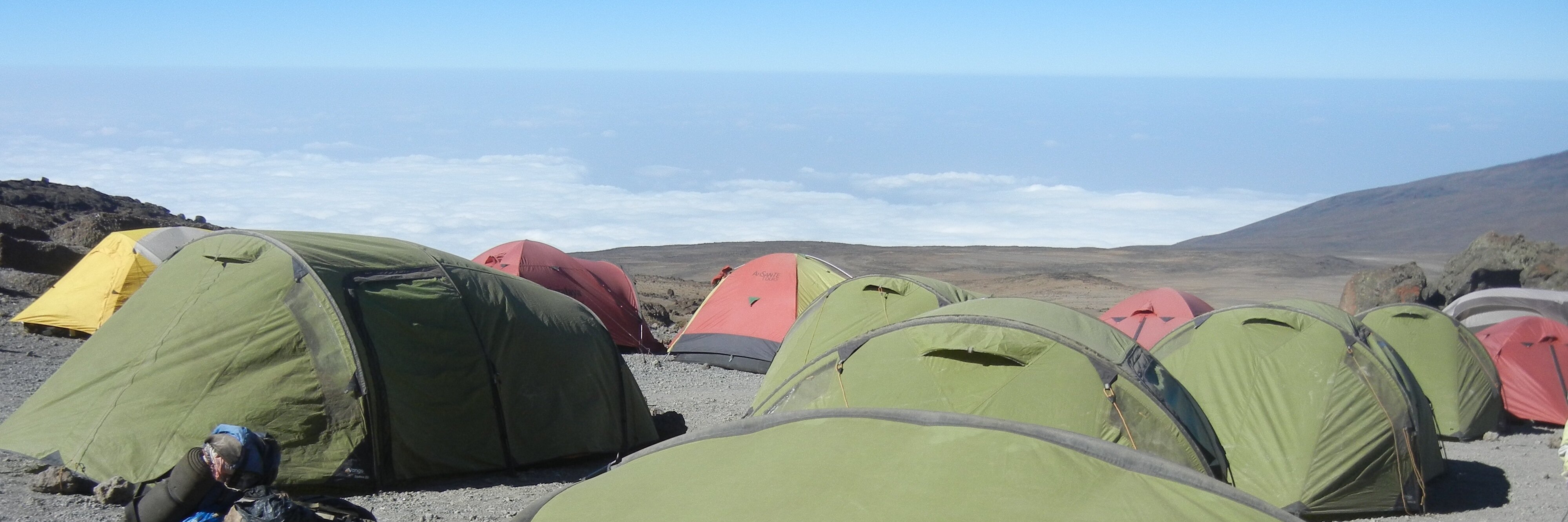 Gillian Strudwick banner