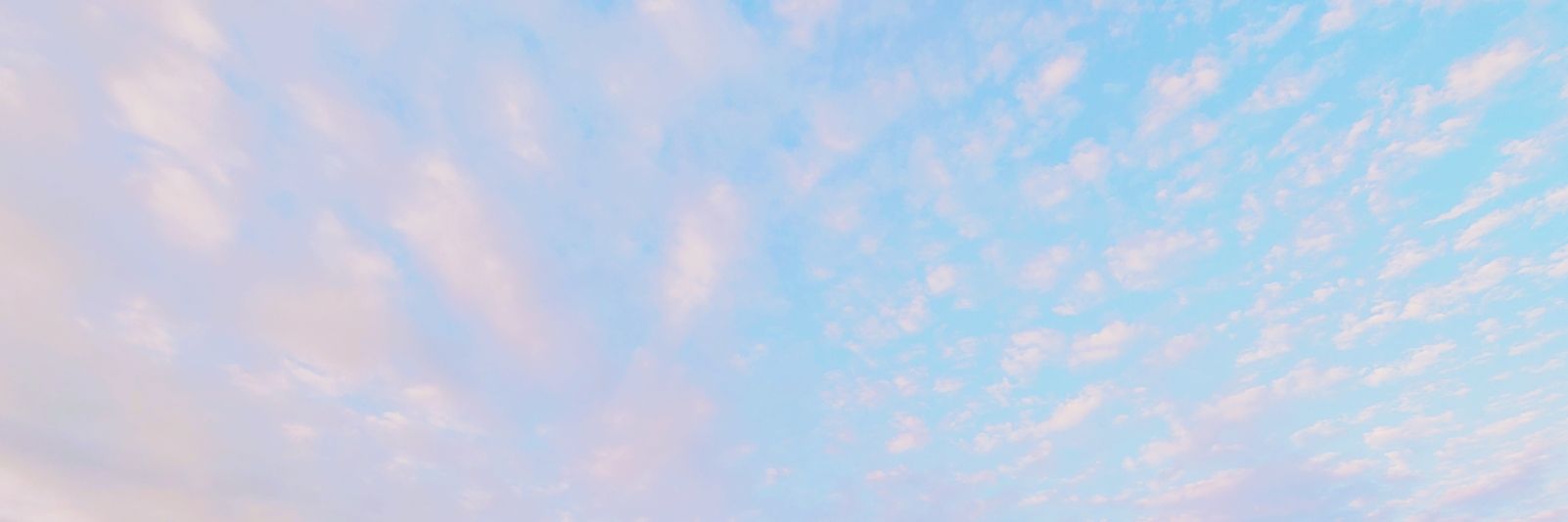 HUBAE | RAUM's banner