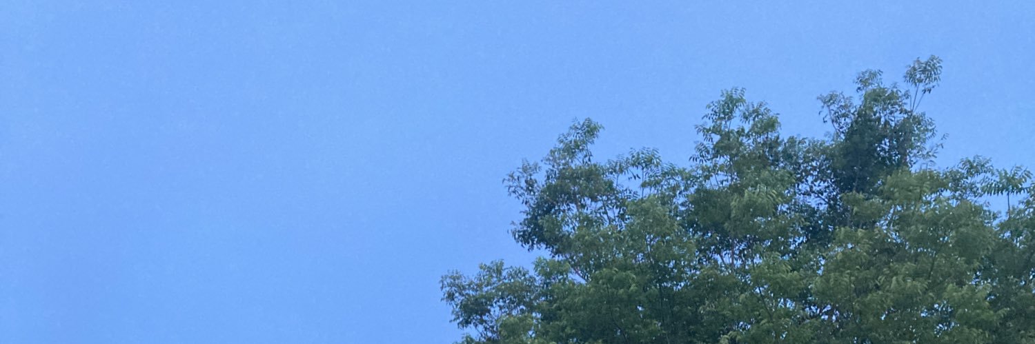 ❅ 𝒍𝒐𝒐𝒌𝒑𝒆𝒂𝒄𝒉 ❅ banner