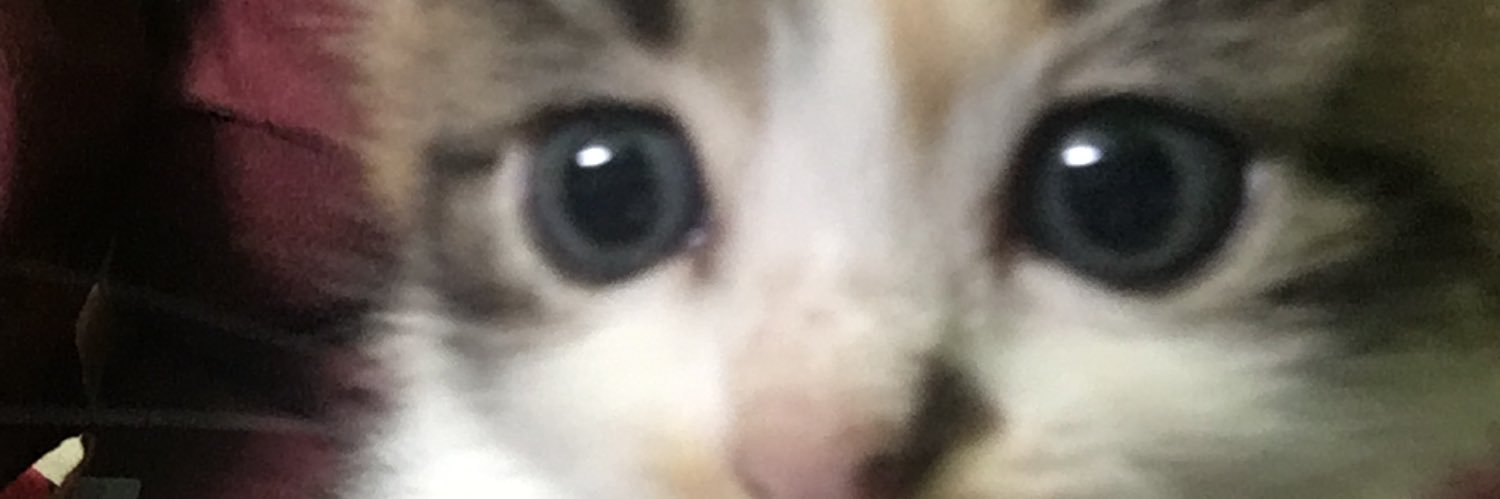 KaaLinn_'s profile banner image