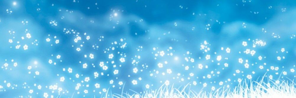 ballokky's profile banner image