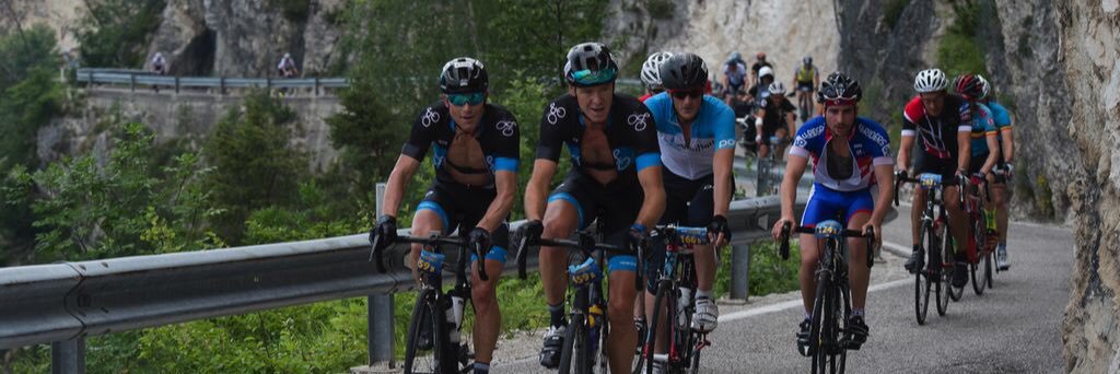 Alex Hultmark banner