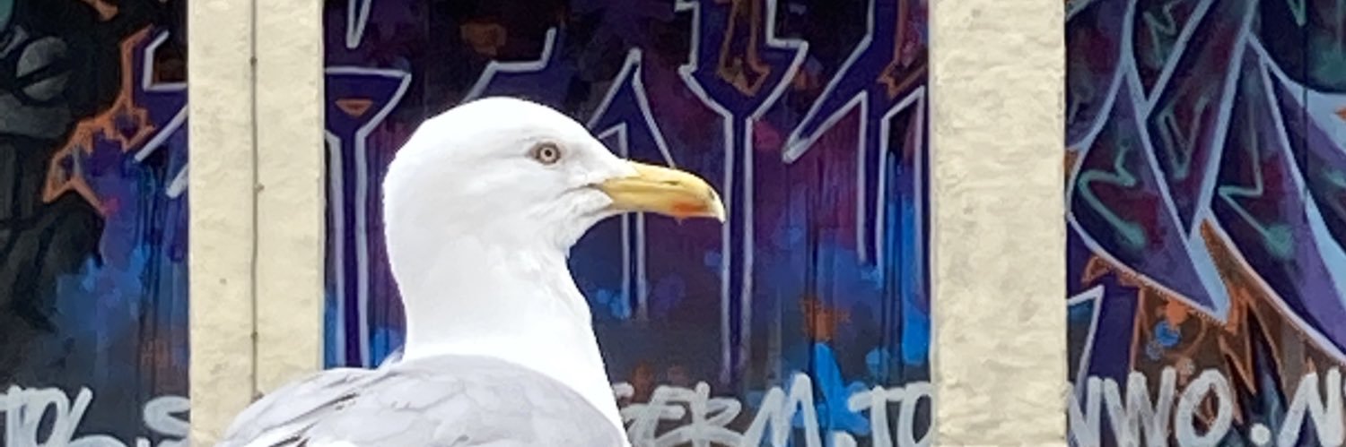 KazK2468 banner