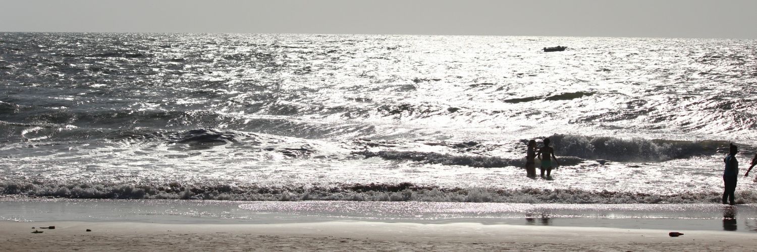 paradisehopper's profile banner image