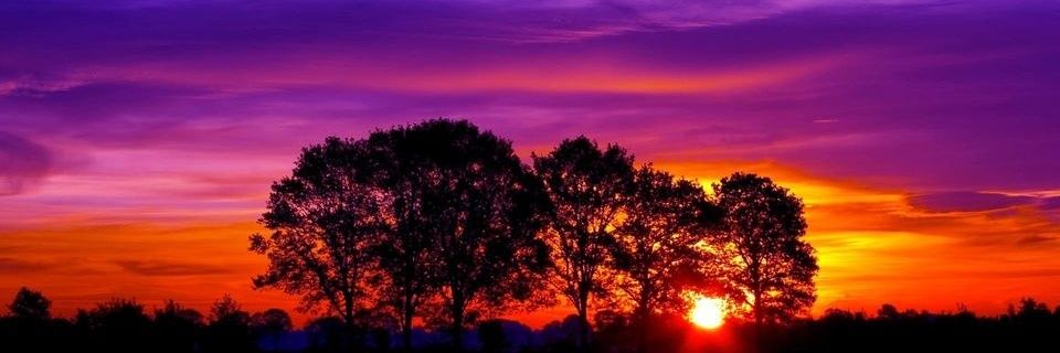 kellerben2's profile banner image