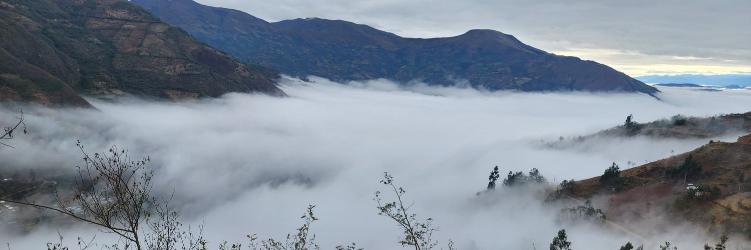Marco Piñatelli banner