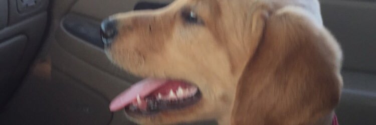ericfrancois_10's profile banner image
