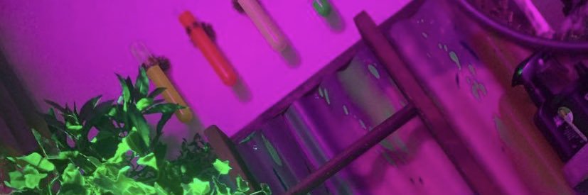 MischiefHill's profile banner image