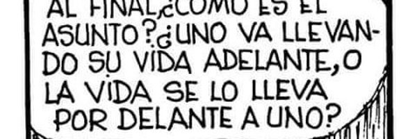 Hanan71443742 Profile Banner