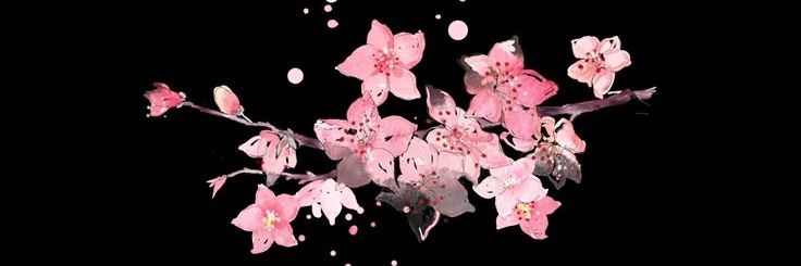 Scara 𓆩♡︎𓆪 49% cr: WFMAS & FanPara banner