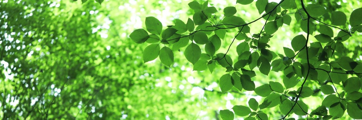 ray_free501's profile banner image