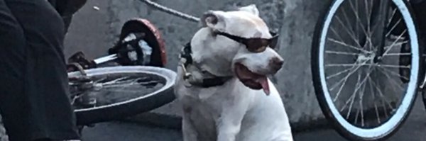 MikeSzar_ Profile Banner